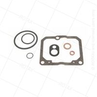 43 - Sada tesnení karburátoru - 293834